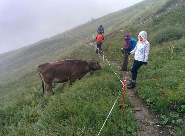 Schweiz Rückweg Wandern